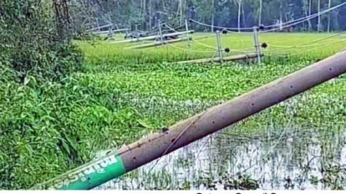 🔴 হবিগঞ্জে ঝড় আর পাহাড়ি ঢলে অনেক জায়গায় ক্ষয়ক্ষতির খবর পাওয়া যাচ্ছে।